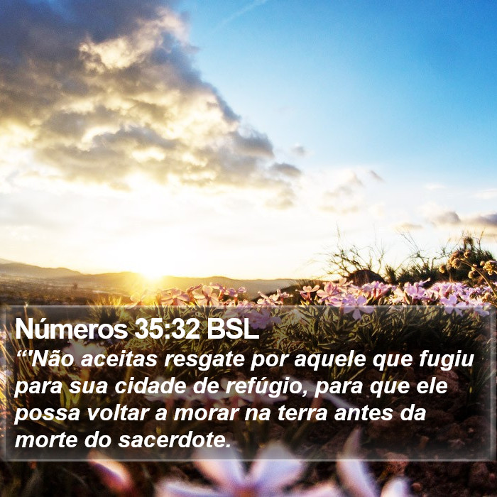 Números 35:32 BSL Bible Study