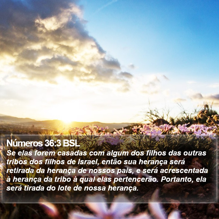 Números 36:3 BSL Bible Study