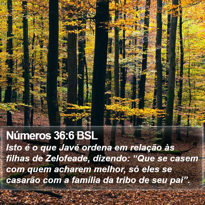Números 36:6 BSL Bible Study