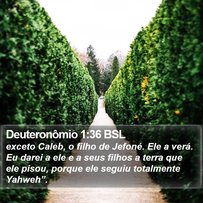 Deuteronômio 1:36 BSL Bible Study