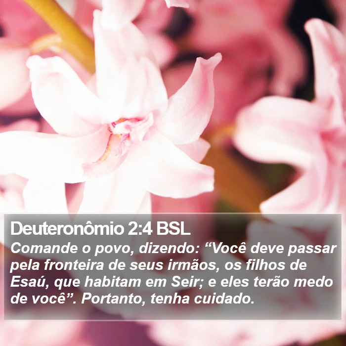 Deuteronômio 2:4 BSL Bible Study