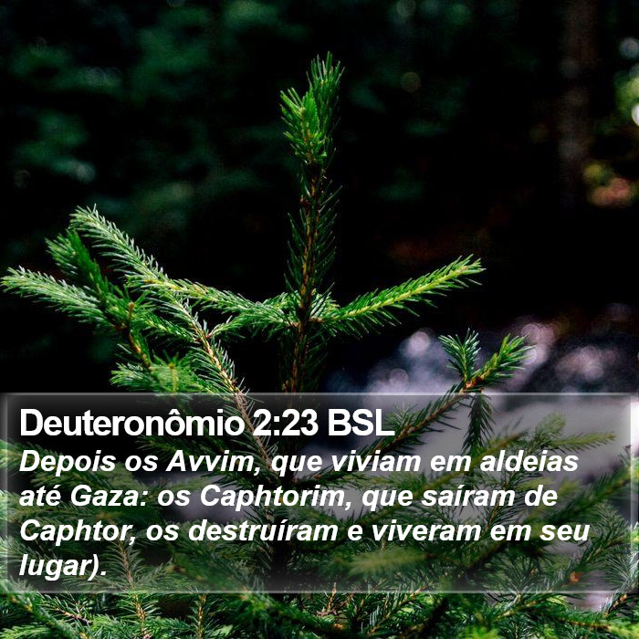 Deuteronômio 2:23 BSL Bible Study