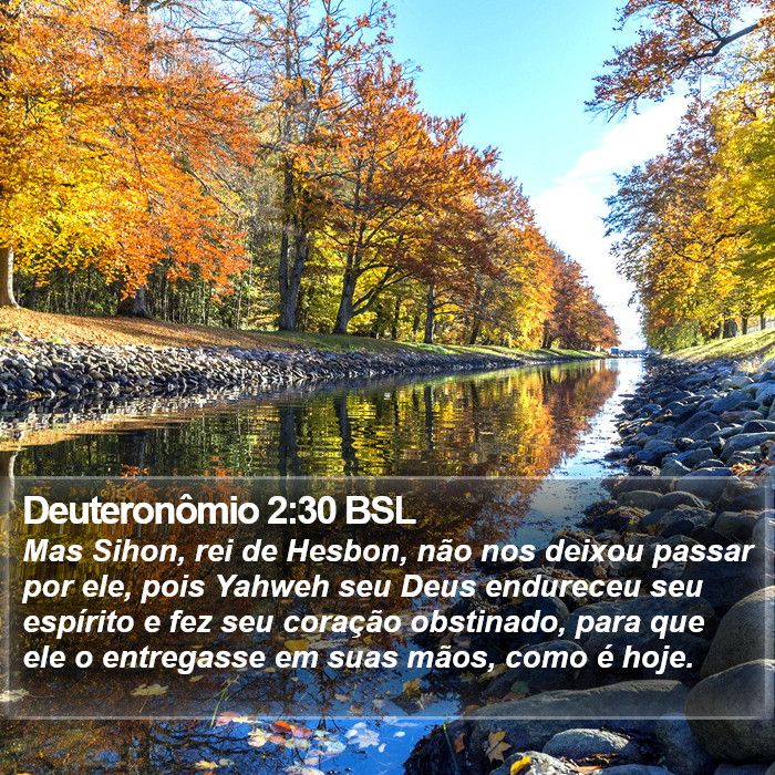 Deuteronômio 2:30 BSL Bible Study