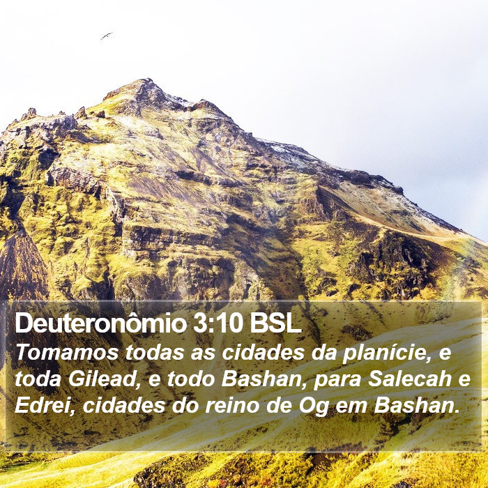 Deuteronômio 3:10 BSL Bible Study