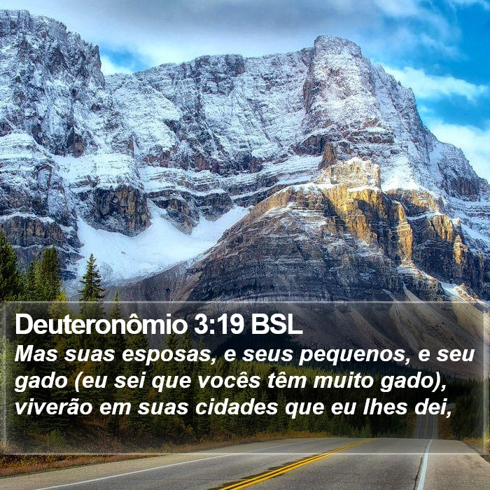 Deuteronômio 3:19 BSL Bible Study