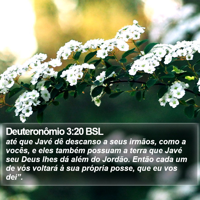 Deuteronômio 3:20 BSL Bible Study