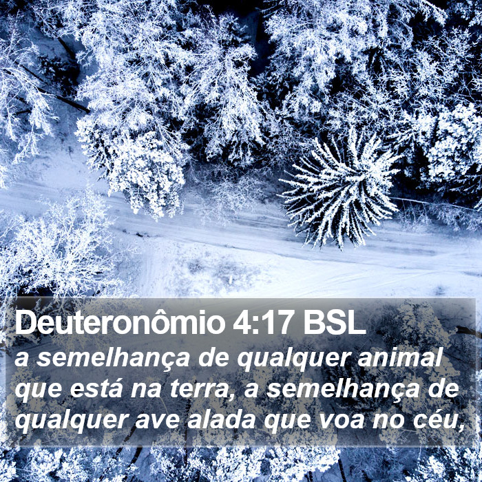 Deuteronômio 4:17 BSL Bible Study