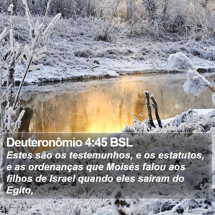 Deuteronômio 4:45 BSL Bible Study