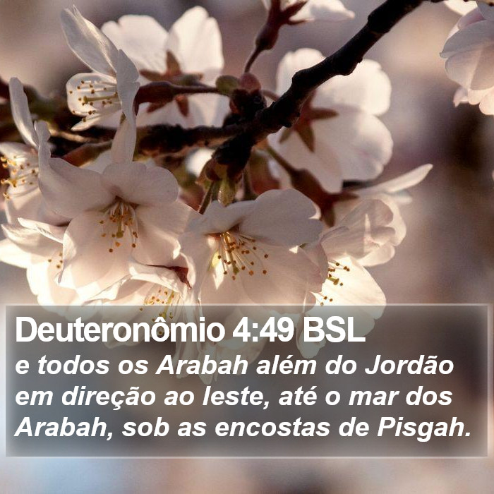 Deuteronômio 4:49 BSL Bible Study