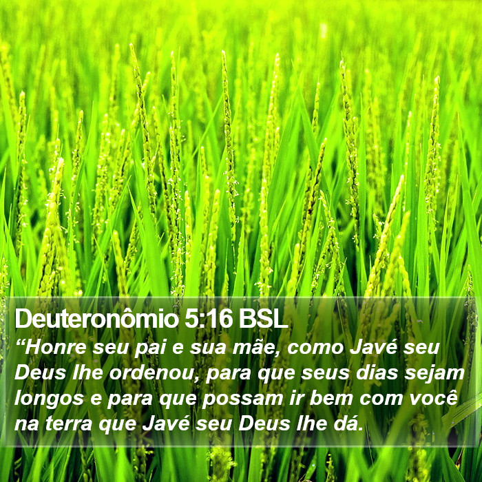 Deuteronômio 5:16 BSL Bible Study