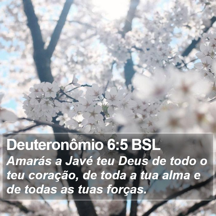 Deuteronômio 6:5 BSL Bible Study