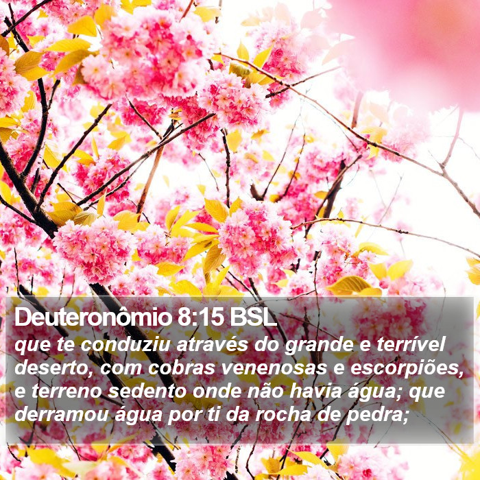 Deuteronômio 8:15 BSL Bible Study