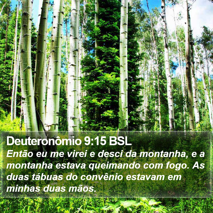 Deuteronômio 9:15 BSL Bible Study
