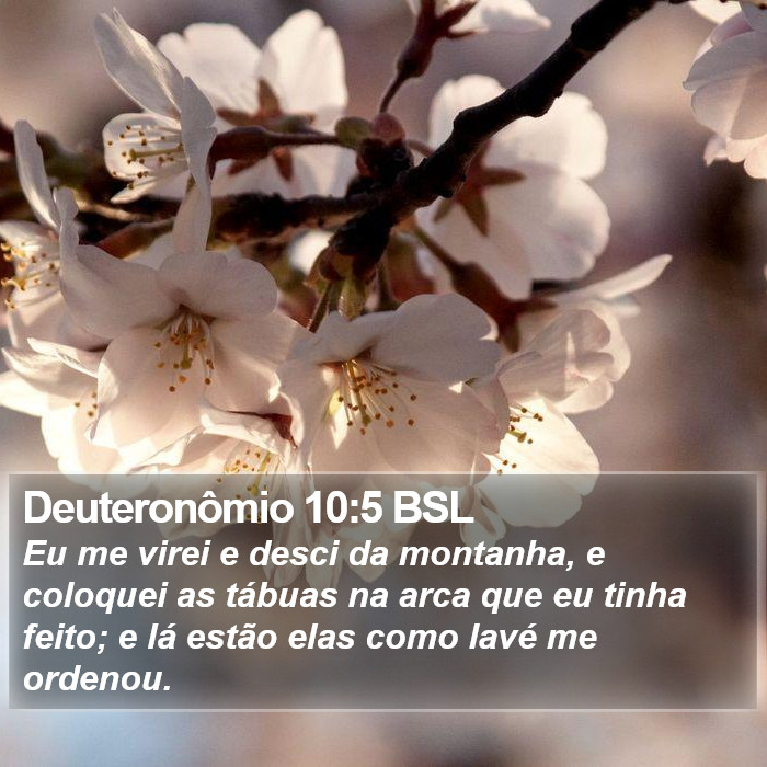 Deuteronômio 10:5 BSL Bible Study