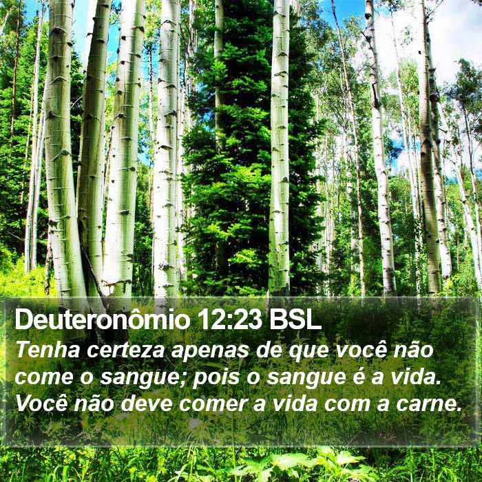 Deuteronômio 12:23 BSL Bible Study