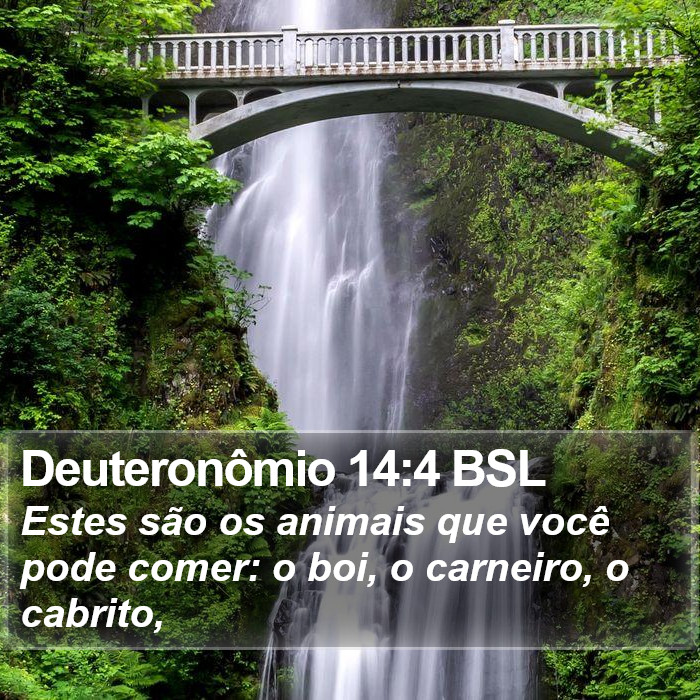 Deuteronômio 14:4 BSL Bible Study