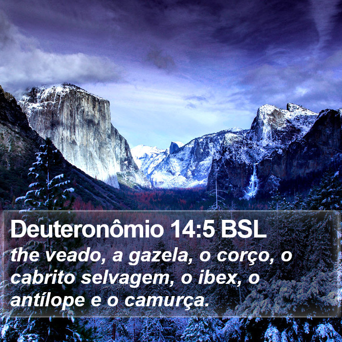 Deuteronômio 14:5 BSL Bible Study