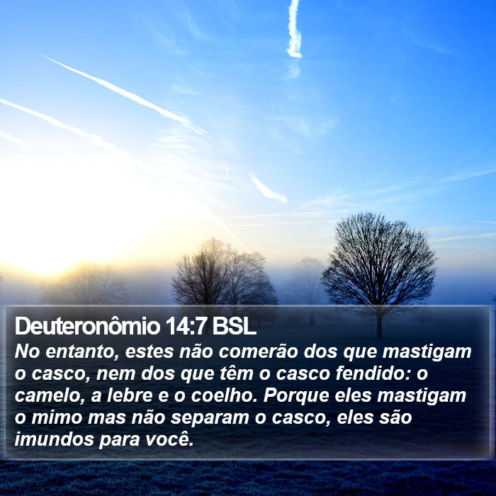 Deuteronômio 14:7 BSL Bible Study