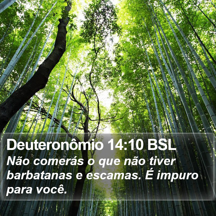 Deuteronômio 14:10 BSL Bible Study