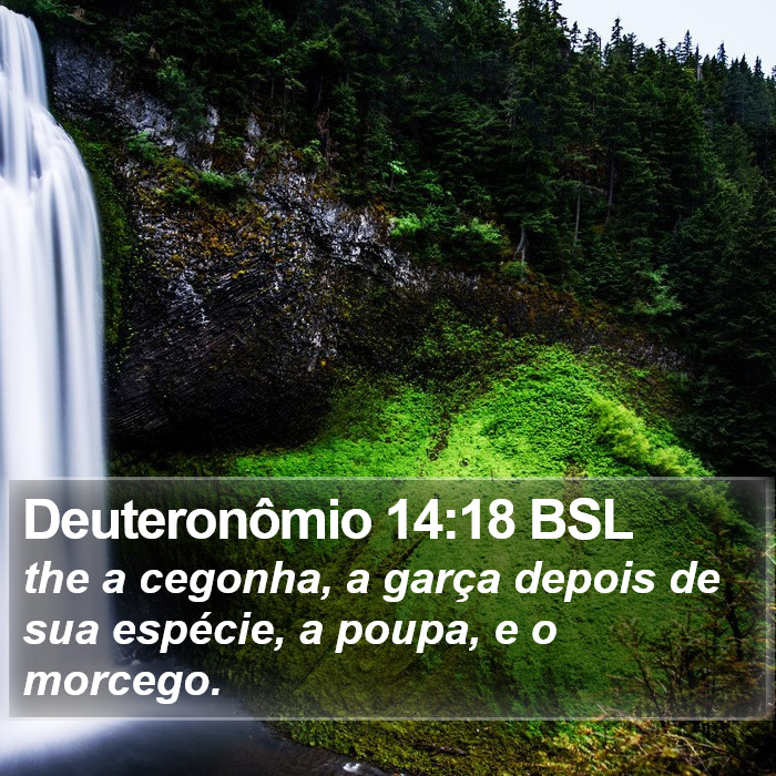 Deuteronômio 14:18 BSL Bible Study