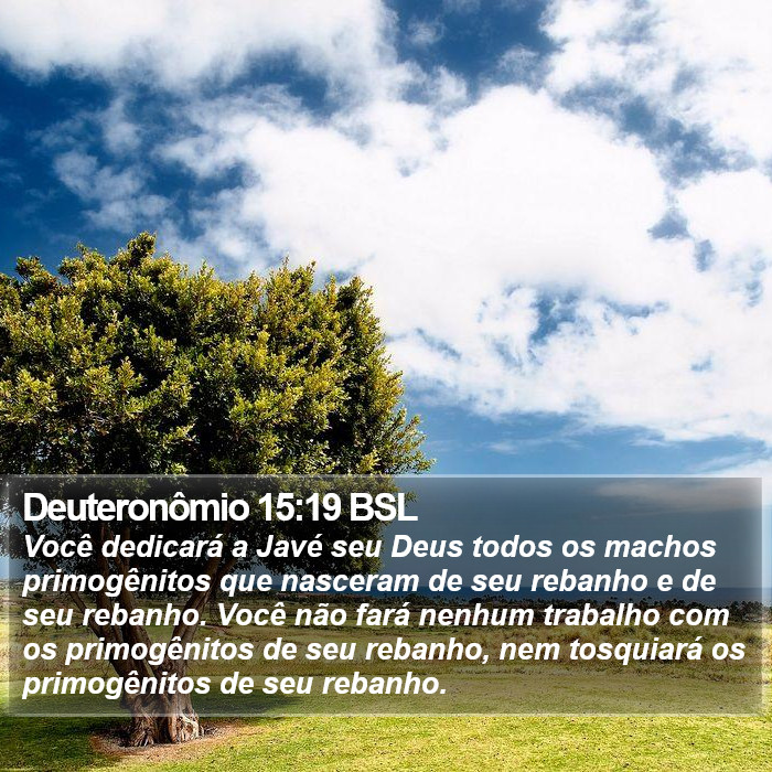 Deuteronômio 15:19 BSL Bible Study