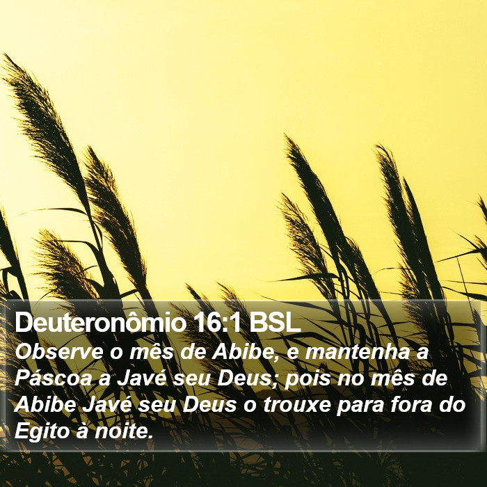 Deuteronômio 16:1 BSL Bible Study