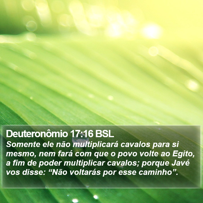 Deuteronômio 17:16 BSL Bible Study
