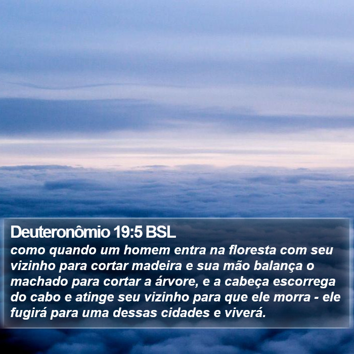 Deuteronômio 19:5 BSL Bible Study