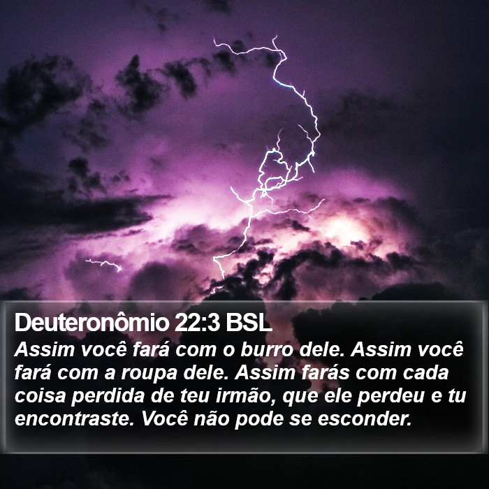Deuteronômio 22:3 BSL Bible Study