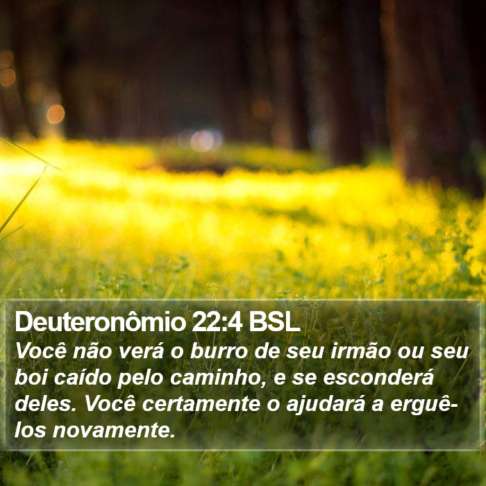Deuteronômio 22:4 BSL Bible Study