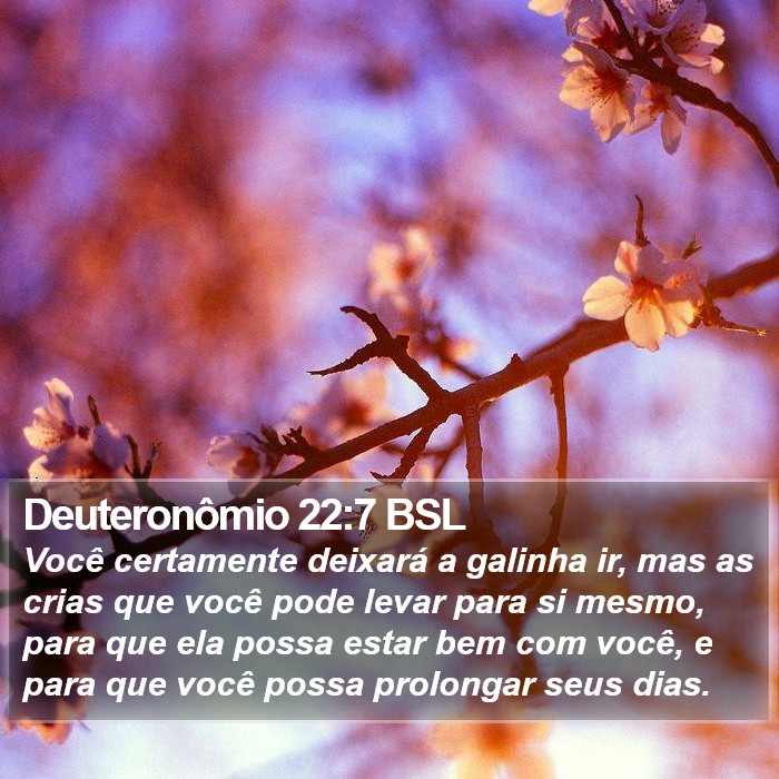 Deuteronômio 22:7 BSL Bible Study