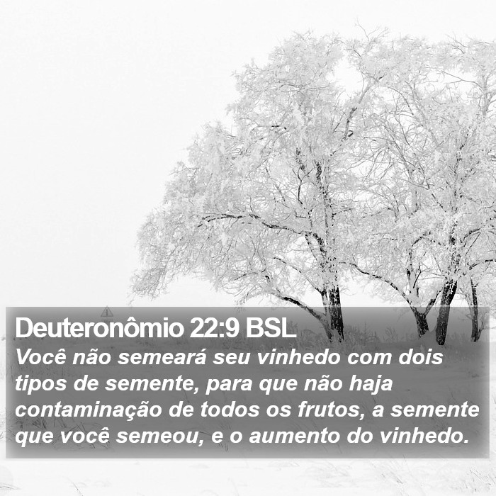 Deuteronômio 22:9 BSL Bible Study
