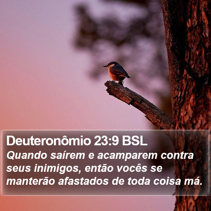 Deuteronômio 23:9 BSL Bible Study