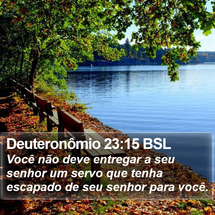 Deuteronômio 23:15 BSL Bible Study