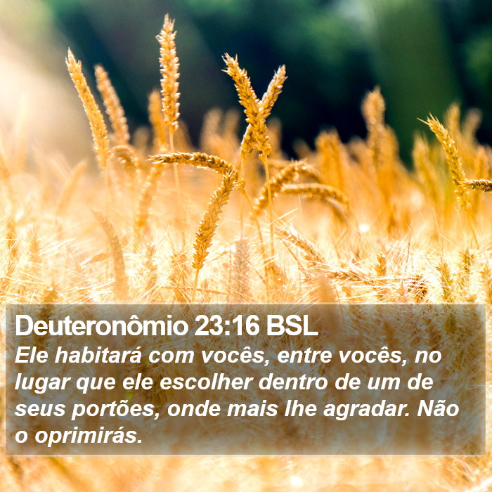 Deuteronômio 23:16 BSL Bible Study