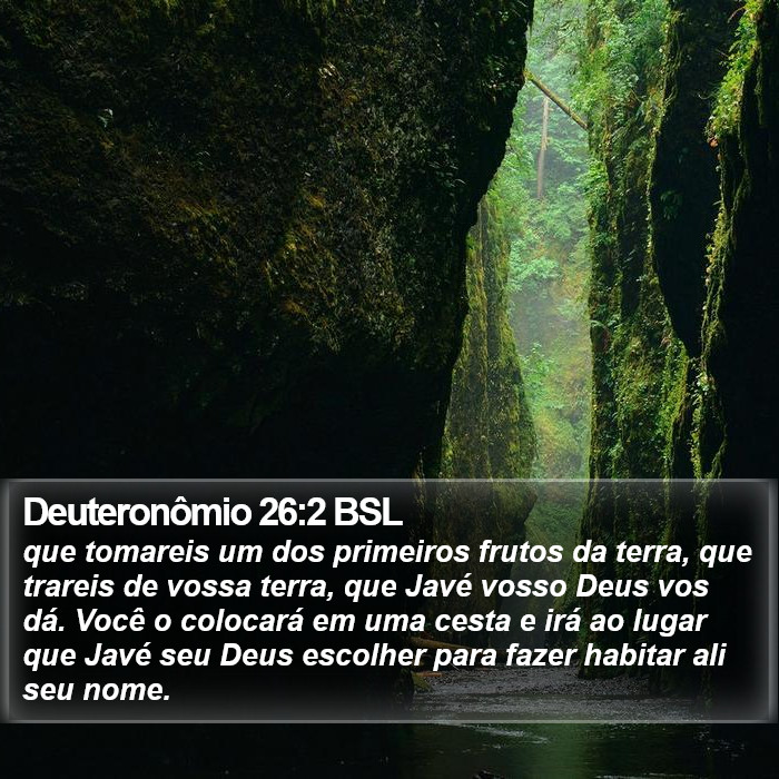 Deuteronômio 26:2 BSL Bible Study