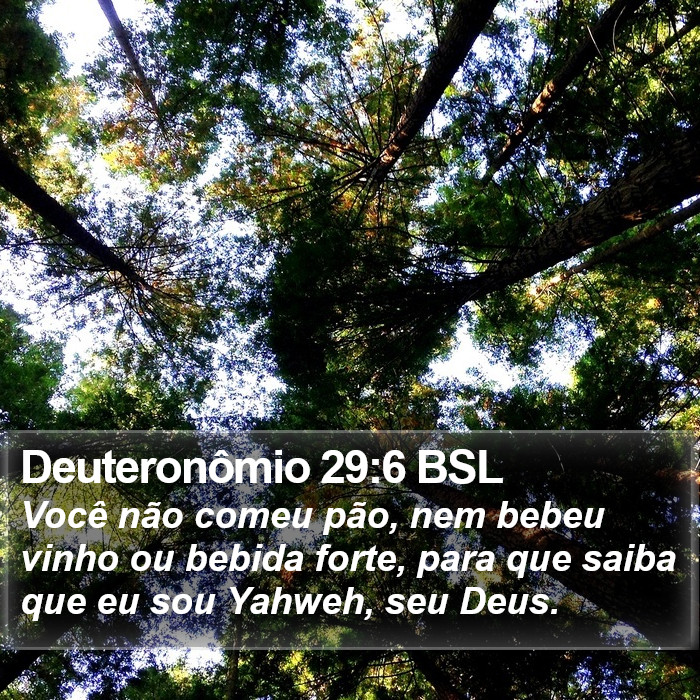 Deuteronômio 29:6 BSL Bible Study