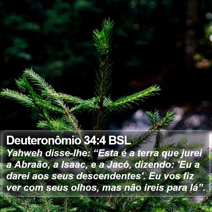 Deuteronômio 34:4 BSL Bible Study