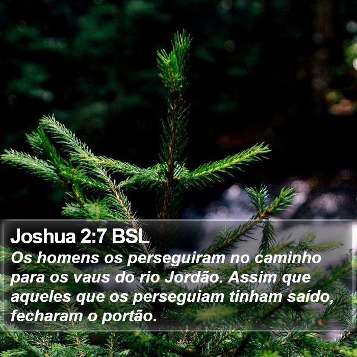 Joshua 2:7 BSL Bible Study