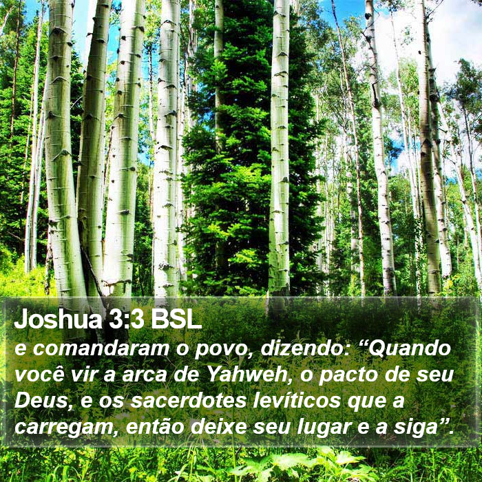 Joshua 3:3 BSL Bible Study