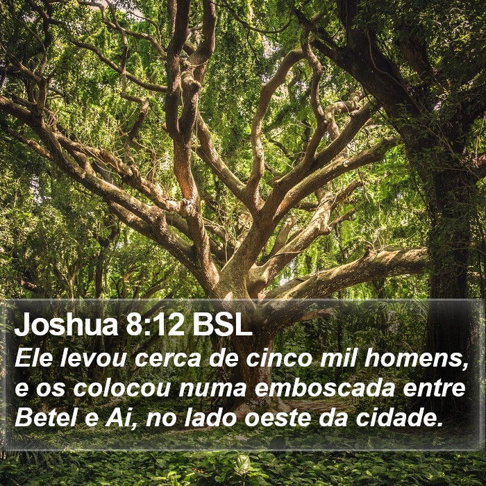 Joshua 8:12 BSL Bible Study