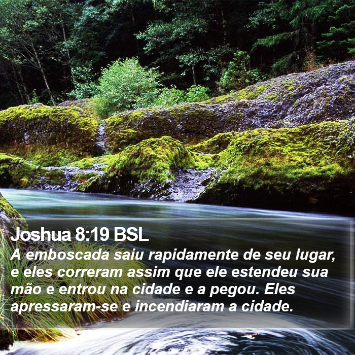 Joshua 8:19 BSL Bible Study