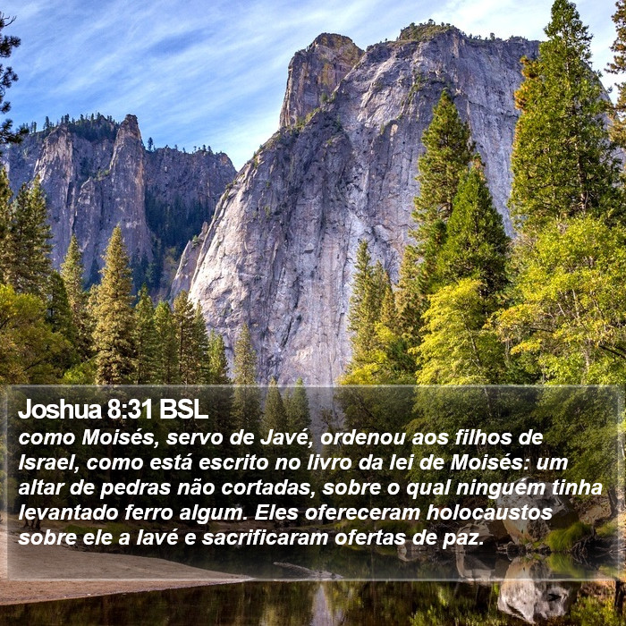 Joshua 8:31 BSL Bible Study