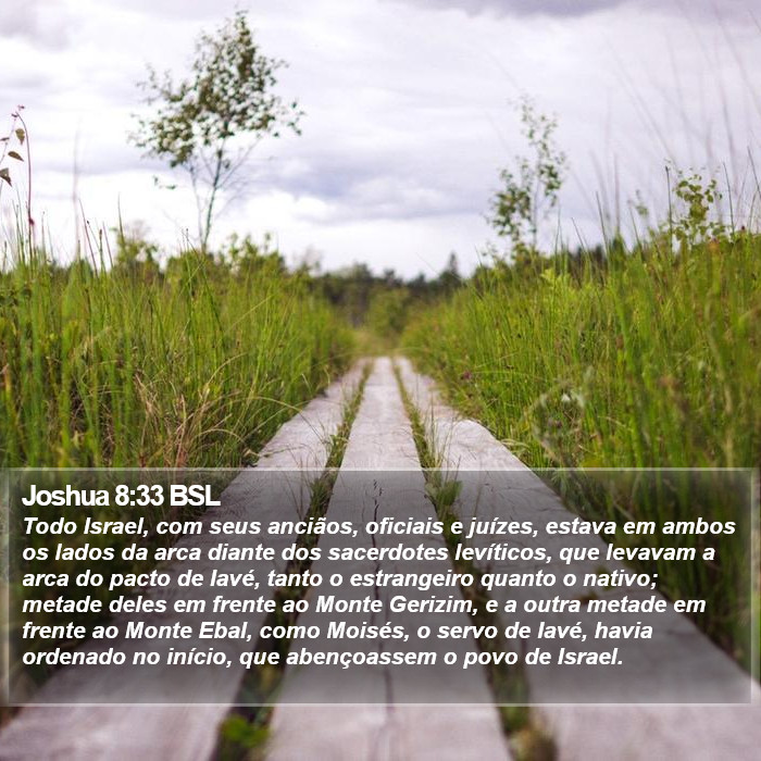 Joshua 8:33 BSL Bible Study