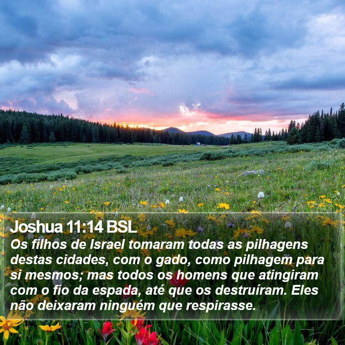 Joshua 11:14 BSL Bible Study