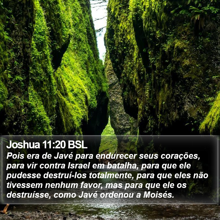 Joshua 11:20 BSL Bible Study
