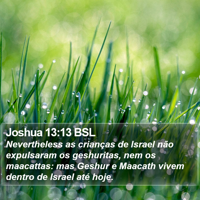 Joshua 13:13 BSL Bible Study