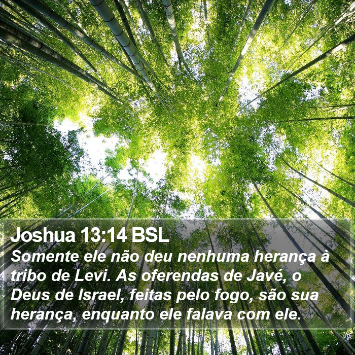 Joshua 13:14 BSL Bible Study