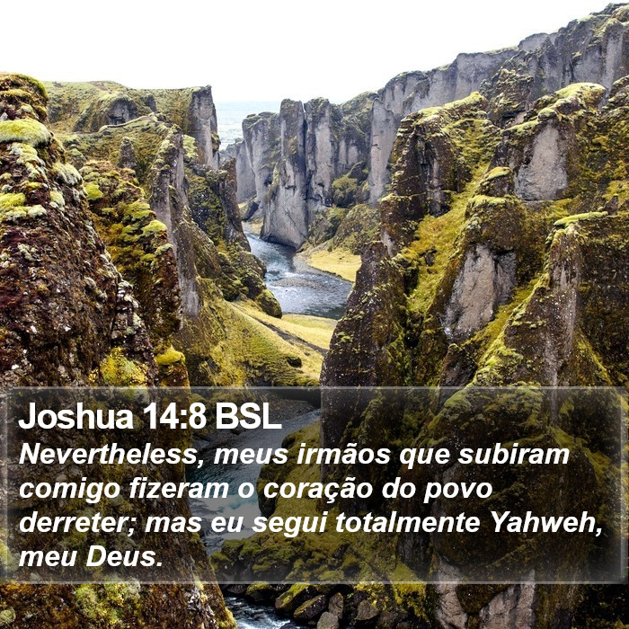 Joshua 14:8 BSL Bible Study