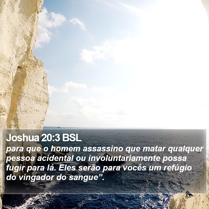 Joshua 20:3 BSL Bible Study